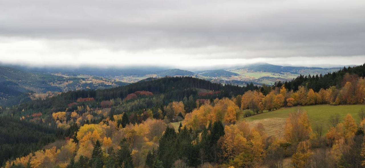 Zlaty Potok Hotel Nicov (Prachatice)